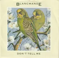 Blancmange - Don't Tell Me