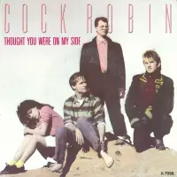 Cock Robin - Thought You Were On My Side