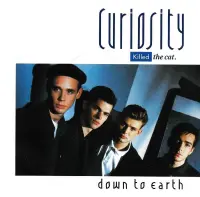 Curiosity Killed The Cat - Down To Earth