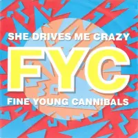 Fine Young Cannibals - She Drives Me Crazy