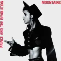 Prince And The Revolution - Mountains