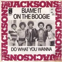 The Jacksons - Blame It On The Boogie